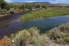 San-Juan-River-Navajo-Lake-State-Park-Pocket2-06-09-2021