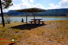 El-Vado-Lake-State-Park-Picnic-Table-Osmo-Pocket-07-14-2020
