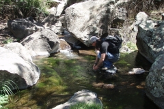 Rio Grande New Mexico Fly Fishing