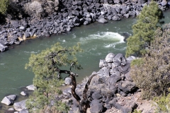 Rio Grande New Mexico Fly Fishing