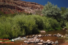 Jemez-River-S-Bend-Trout-Fishing-Public-Access-Anafi-Osmo-Pocket-07-01-2020