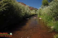 Jemez-River-Spanish-Queen-Trout-Fishing-Public-Access-Anafi-Osmo-Pocket-07-01-2020