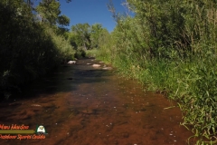 Jemez-River-The-Bluffs-Trout-Fishing-Public-Access-Anafi-Osmo-Pocket-07-01-2020