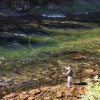 New Mexico Fly Fishing Guide