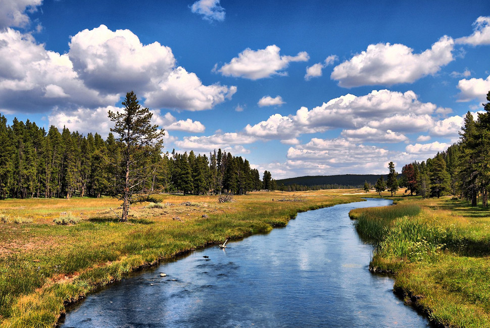 New Mexico Fly Fishing Guide