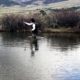 Browse New Mexico Fly Fishing Guide Ads 8 Red River NM Lodging Mountain Shadows Lodge