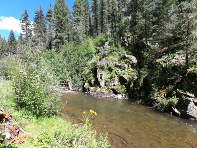 Pecos River Fly Fishing Public Access
