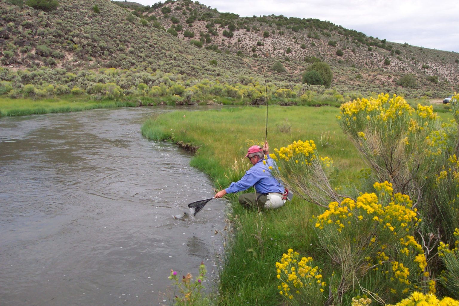 Culebra Creek Fly Fishing Archives New Mexico Fly Fishing Guide
