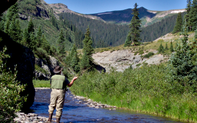 Fly Fishing in New Mexico: A Vacationer’s Guide to Scenic Waters, Gear, and the Best Seasons