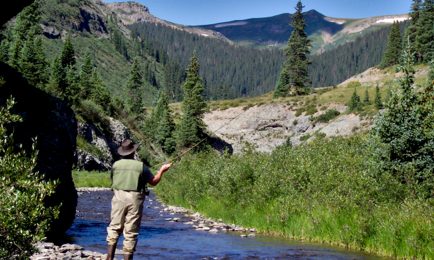 Fly Fishing in New Mexico: A Vacationer’s Guide to Scenic Waters, Gear, and the Best Seasons