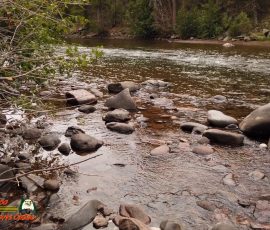 New Mexico Fly Fishing Photo Gallery 5 Aspen-Glade-Campground-Conejos-River-Osmo-Pocket-07-15-2020
