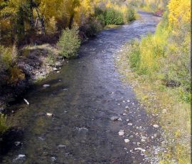 New Mexico Fly Fishing Photo Gallery 13 chama1
