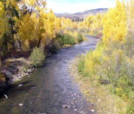 New Mexico Fly Fishing Photo Gallery 11 chama2