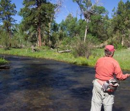 cimarron_river_1