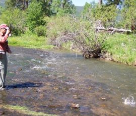 cimarron_river_10