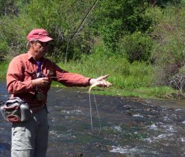 cimarron_river_11