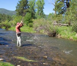 cimarron_river_12