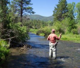 cimarron_river_16