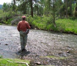 cimarron_river_21
