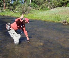 cimarron_river_4