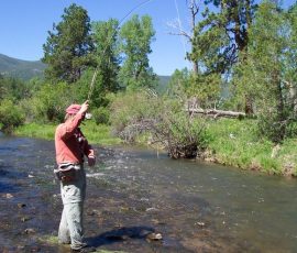 cimarron_river_5