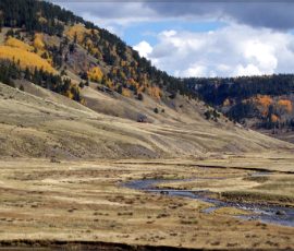 New Mexico Fly Fishing Photo Gallery 2 conejos2