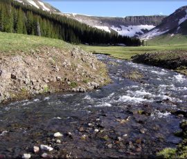 New Mexico Fly Fishing Photo Gallery 3 conejos3