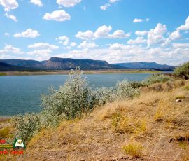 New Mexico Fly Fishing Photo Gallery 8 El-Vado-Lake-State-Park-Osmo-Pocket-07-14-2020