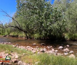 New Mexico Fly Fishing Photo Gallery 4 Jemez-River-La-Junta-Trout-Fishing-Public-Access-Anafi-Hero7-07-01-2020