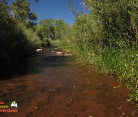 New Mexico Fly Fishing Photo Gallery 6 Jemez-River-The-Bluffs-Trout-Fishing-Public-Access-Anafi-Osmo-Pocket-07-01-2020