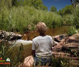 New Mexico Fly Fishing Photo Gallery 1 Jemez-River-Trout-Fishing-Public-Access-Osmo-Pocket-07-01-2020