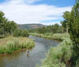 Pecos-River-Fly-Fishing
