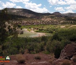 New Mexico Fly Fishing Photo Gallery 9 Rio-Chama-Big-Eddy-Trout-Fishing-Public-Access-Osmo-Pocket-07-14-2020