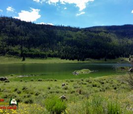 New Mexico Fly Fishing Photo Gallery 13 Rio-Grande-Reservoir-Fly-Fishing-Creede-CO-Pocket2-08-30-2022-vlcsnap-2023-08-27-12h24m18s450