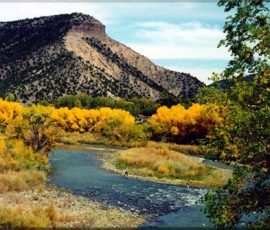 New Mexico Fly Fishing Photo Gallery 1 rio_grande