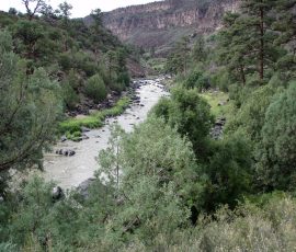 New Mexico Fly Fishing Photo Gallery 2 Rio Grande New Mexico Fly Fishing
