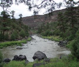 New Mexico Fly Fishing Photo Gallery 3 Rio Grande New Mexico Fly Fishing