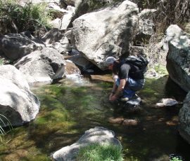New Mexico Fly Fishing Photo Gallery 4 Rio Grande New Mexico Fly Fishing