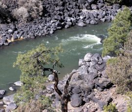 New Mexico Fly Fishing Photo Gallery 5 Rio Grande New Mexico Fly Fishing