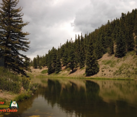 New Mexico Fly Fishing Photo Gallery 6 Spectacle-Lake-Conejos-River-Osmo-Pocket-07-16-2020